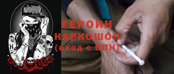 тгк Дмитриев
