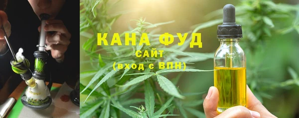 тгк Дмитриев