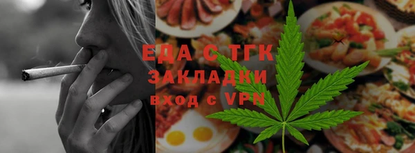 тгк Дмитриев