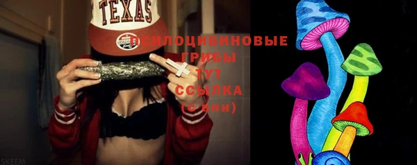 твердый Дмитров