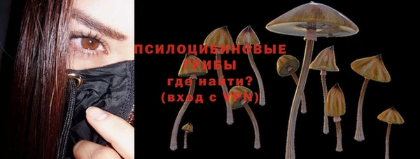 прущие крисы Дмитровск