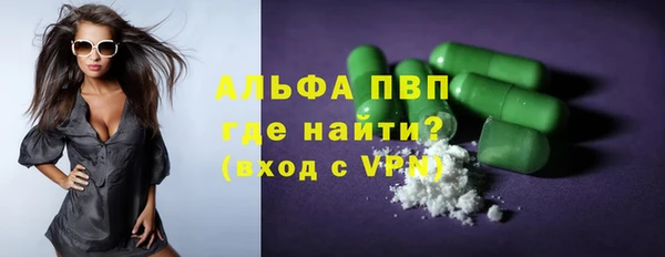 тгк Дмитриев