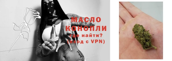 тгк Дмитриев