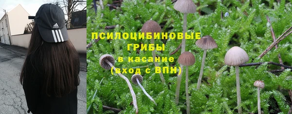 прущие крисы Дмитровск